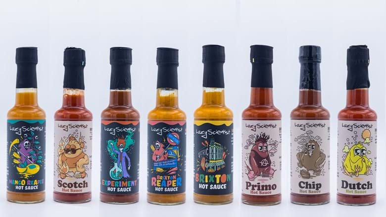Lazy Scientist Ltd